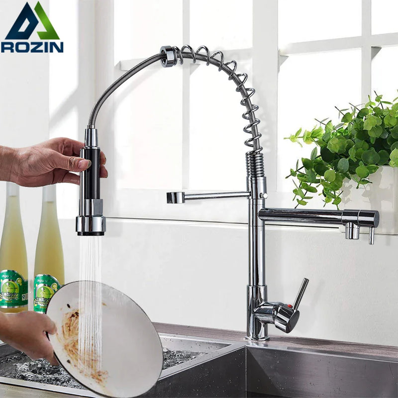 Afralia™ Rozin Chrome Kitchen Faucet with Dual Outlet Spouts 360 Swivel Handheld Shower