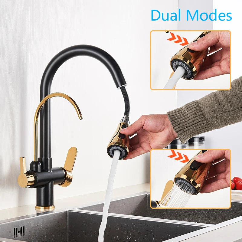 Afralia™ Black Gold Filter Kitchen Faucet with Dual Spout and Handles