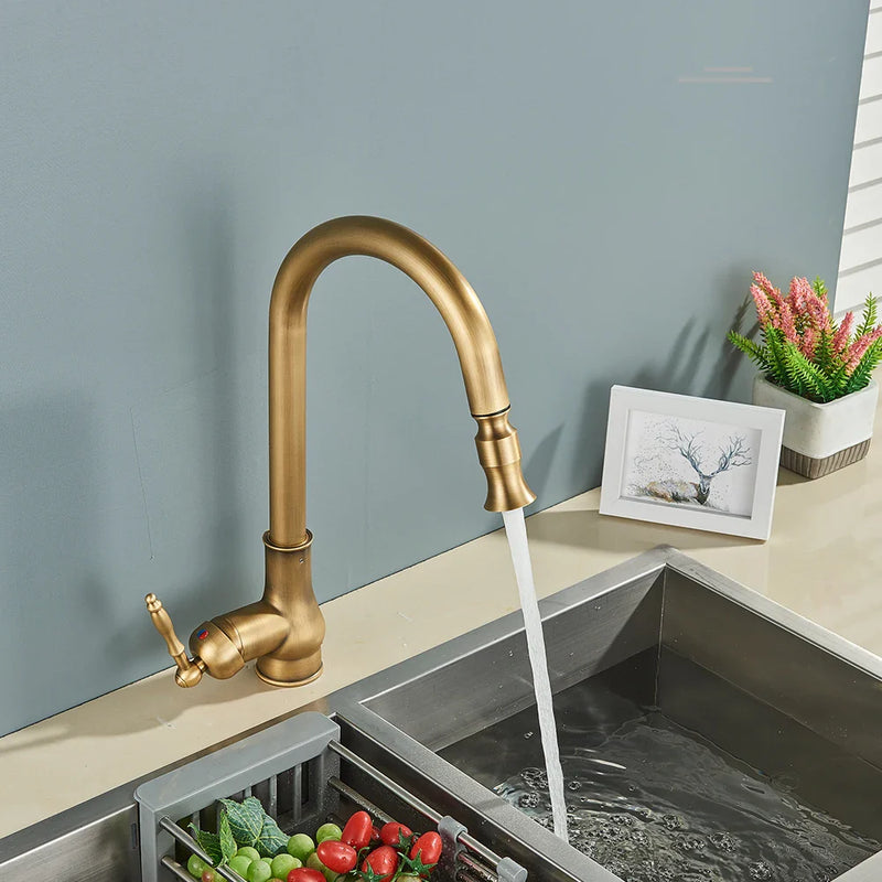 Afralia™ Antique Brass Kitchen Faucet Pull Out Spout Black Swivel Mixer Tap