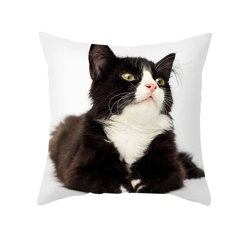 Afralia™ Black Cat Pillowcases - Cute Kitty Animal Lover Cushion Cover