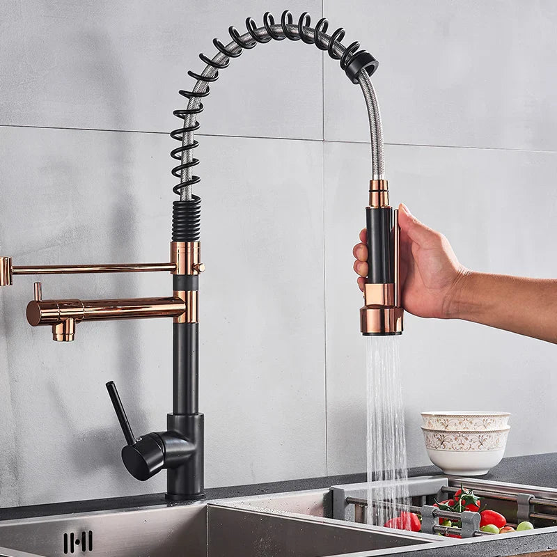 Afralia™ Spring Kitchen Faucet with Pull Down Sprayer and Double Nozzle