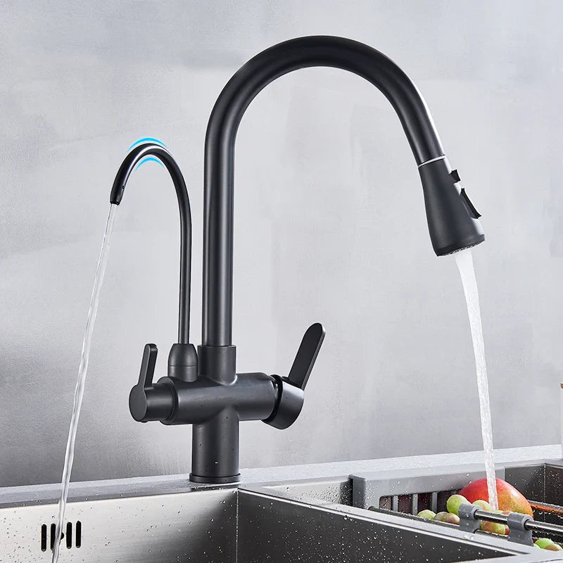 Afralia™ Black Pull Out 3 Way Mixer Kitchen Faucet with Water Filter