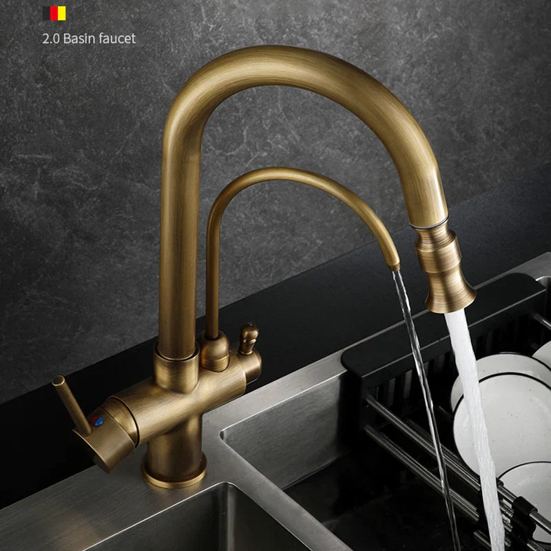 Afralia™ Dual Handle Brass Water Filter Kitchen Faucet with Pull Out Purification Feature