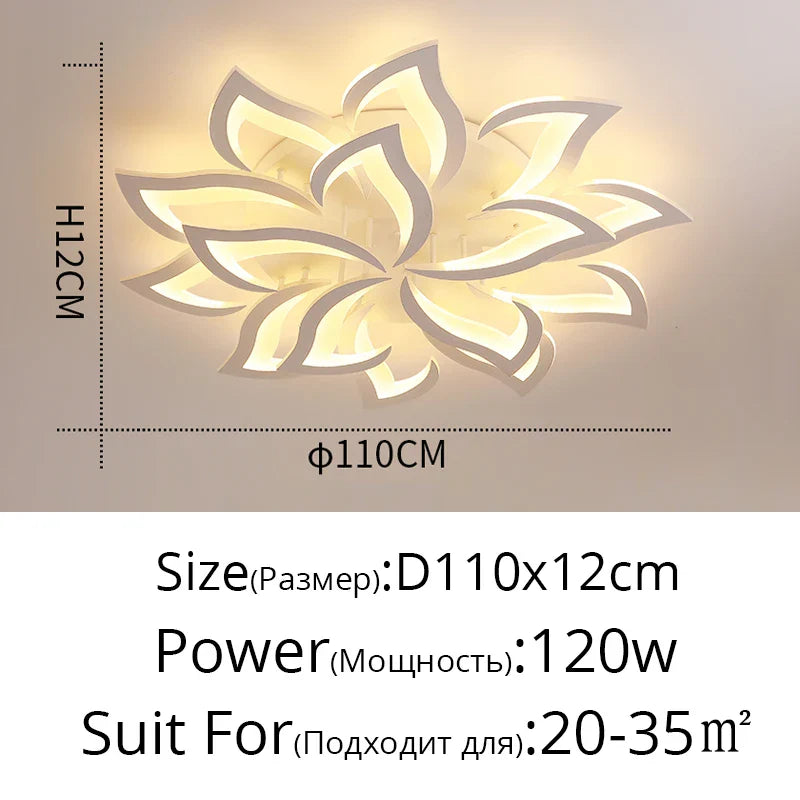 45283254993149|45283255058685