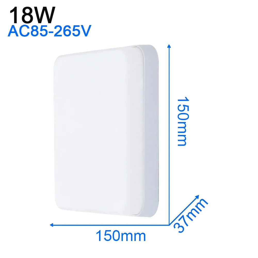 45290370859261|45290371121405