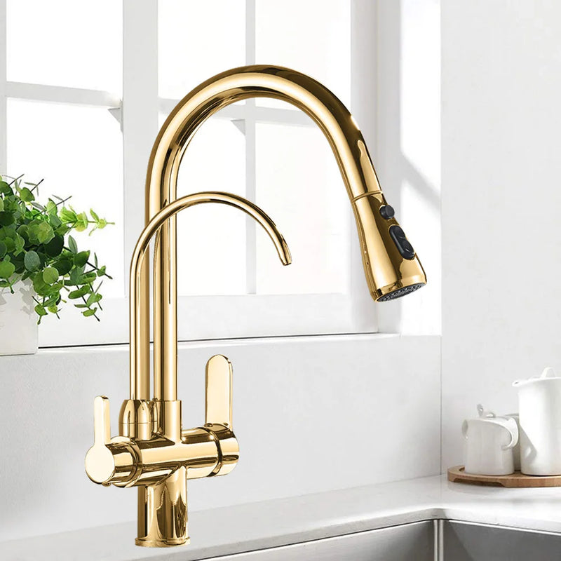 Afralia™ 3-Way Water Filter Kitchen Faucet: Black & Golden Crane Pull Out Sprayer