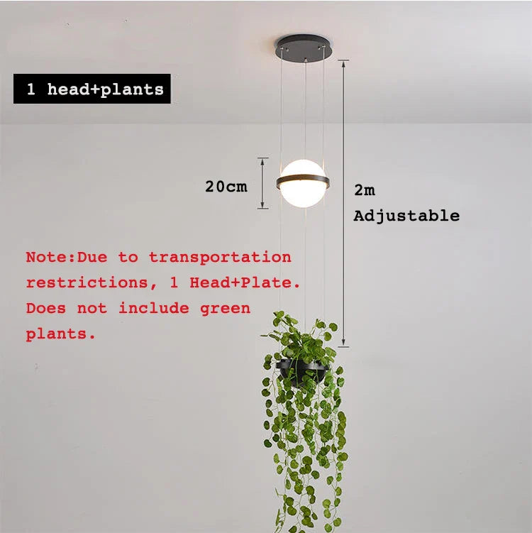 Afralia™ Modern Plant Pendant Lights Nordic DIY Hanging Lamp Flower Pot Dining Room Fixtures