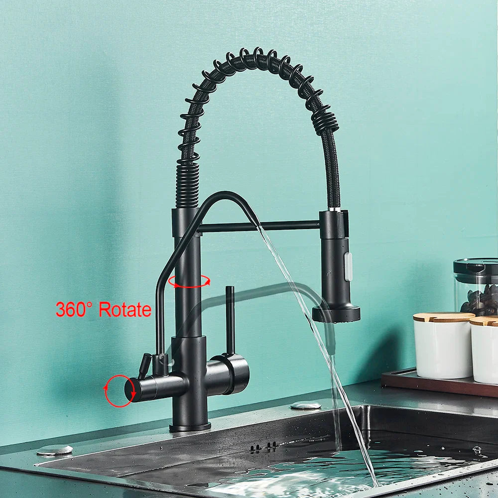 Afralia™ Matte Black Dual Handle Pure Water Filter Kitchen Faucet - Pull Out Design