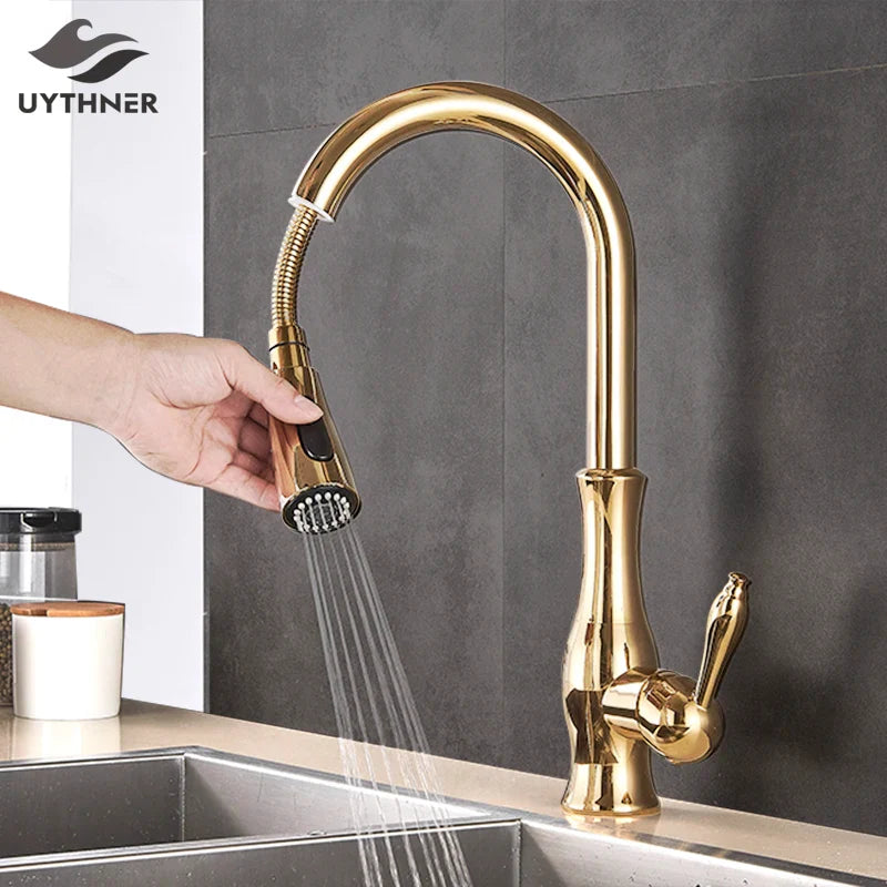 Afralia™ Gold Swivel Spout Kitchen Faucet with Pull Down Sprayer