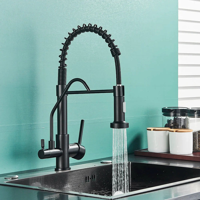 Afralia™ Matte Black Dual Handle Pure Water Filter Kitchen Faucet - Pull Out Design