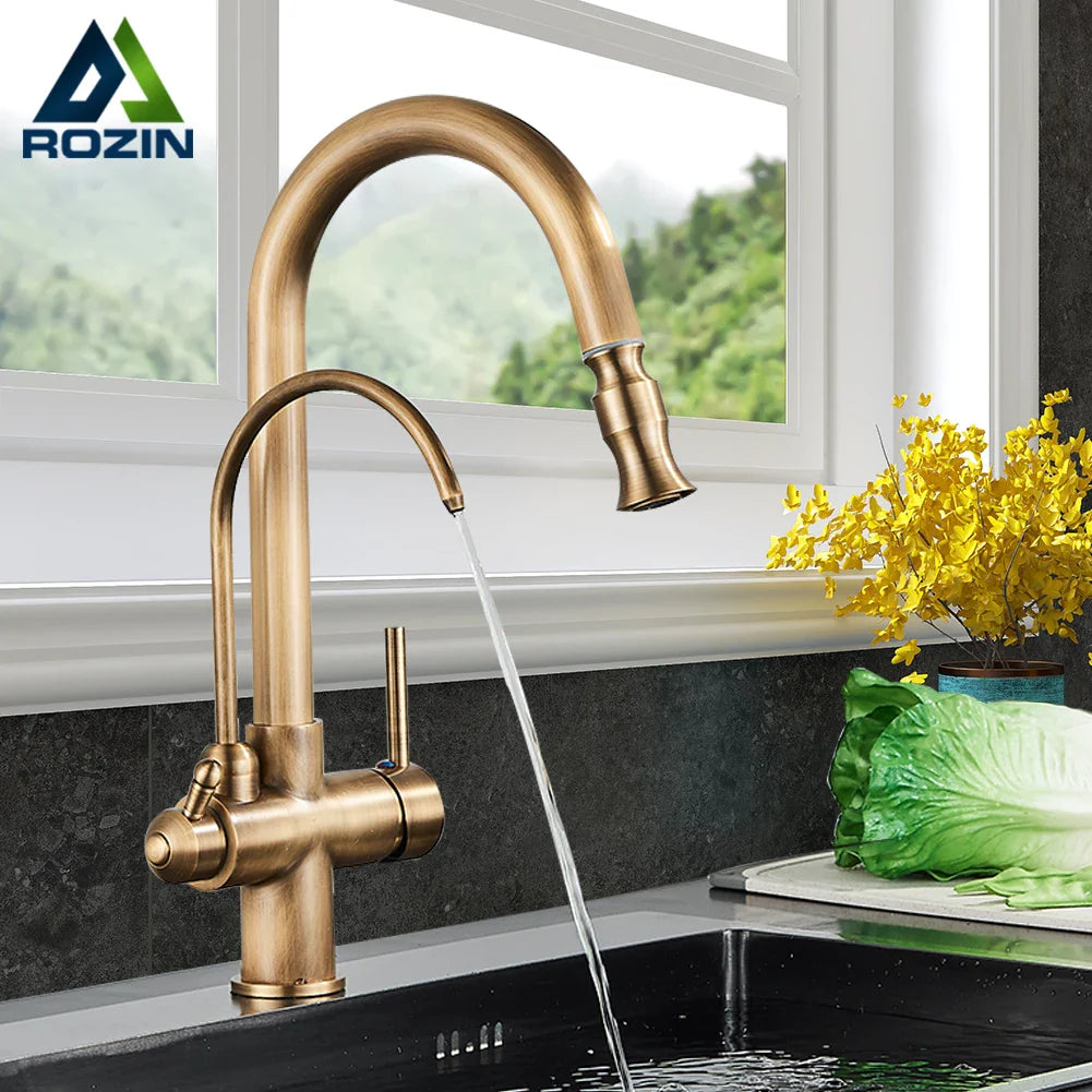 Afralia™ Antique Brass 2-in-1 Kitchen Faucet with Pull Out Nozzle and Purification