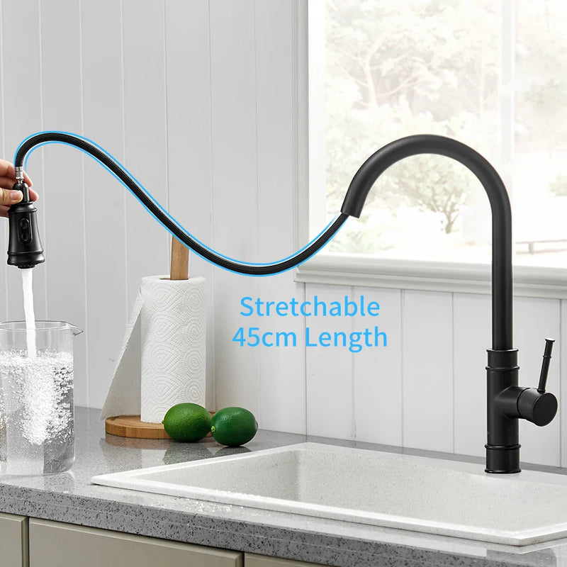 Afralia™ Black Single Handle Pull Out Kitchen Faucet Swivel 360° Water Mixer Tap