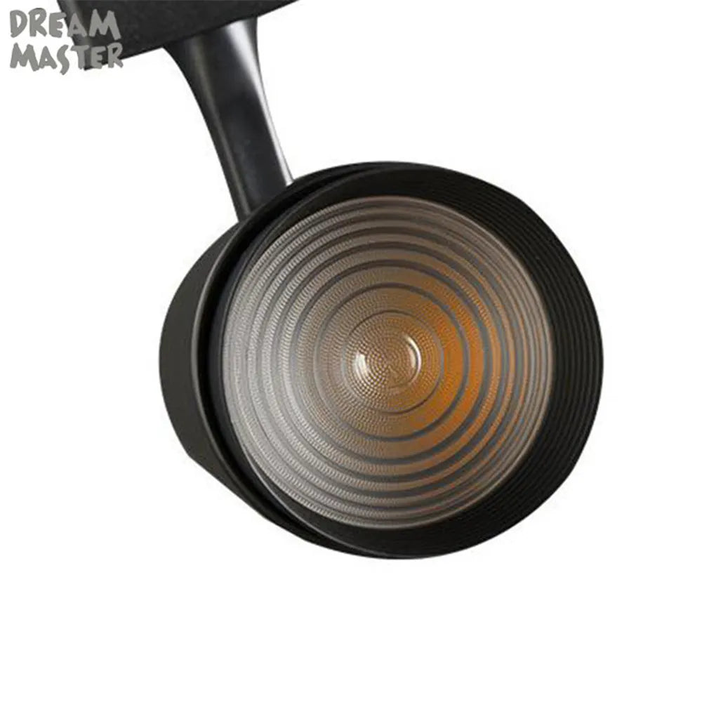 Afralia™ Zoomable COB LED Track Lights: 7/12/20/30W Spot Lighting for Shop Rail & Clothing Store
