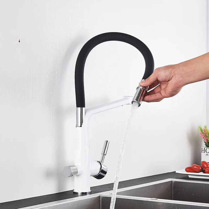 Afralia™ Kitchen Faucet with Filtered Water, Dual Handle Hot Cold Mixer Taps