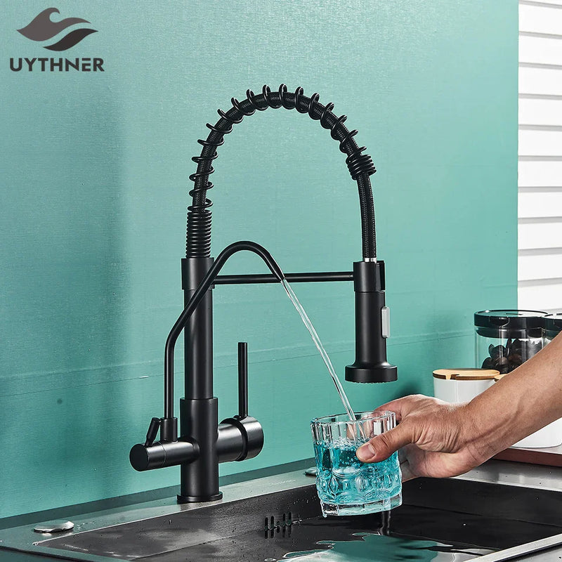 Afralia™ Black Dual Handle Kitchen Faucet with Water Purification Feature, 360° Rotation