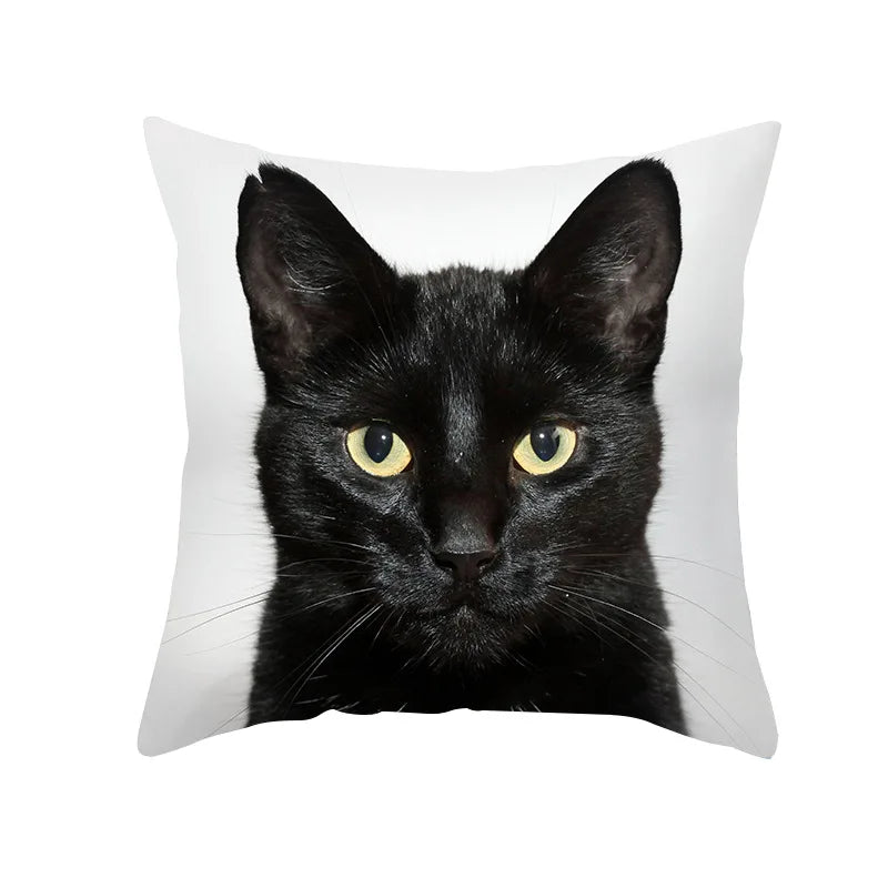 Afralia™ Black Cat Pillowcases - Cute Kitty Animal Lover Cushion Cover