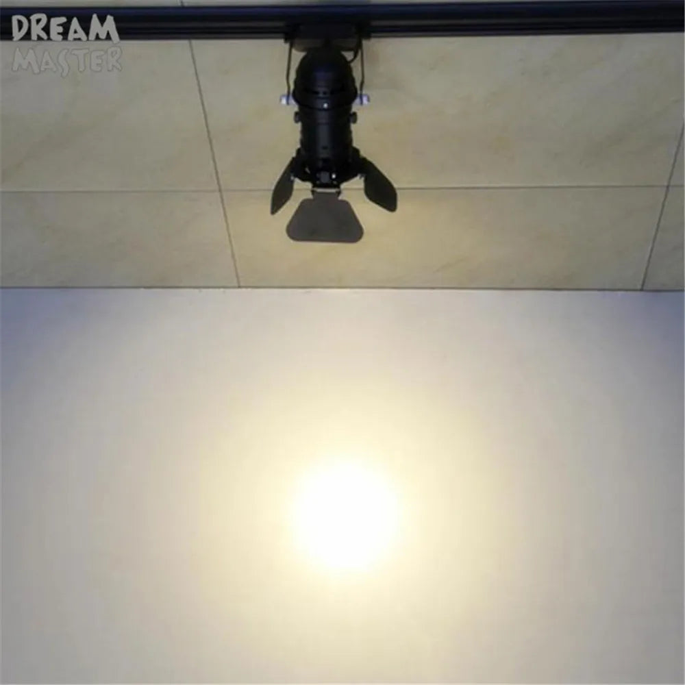 Afralia™ Vintage Industrial LED Track Lighting - Dimmable, Adjustable Rail Lamp for Art Displays