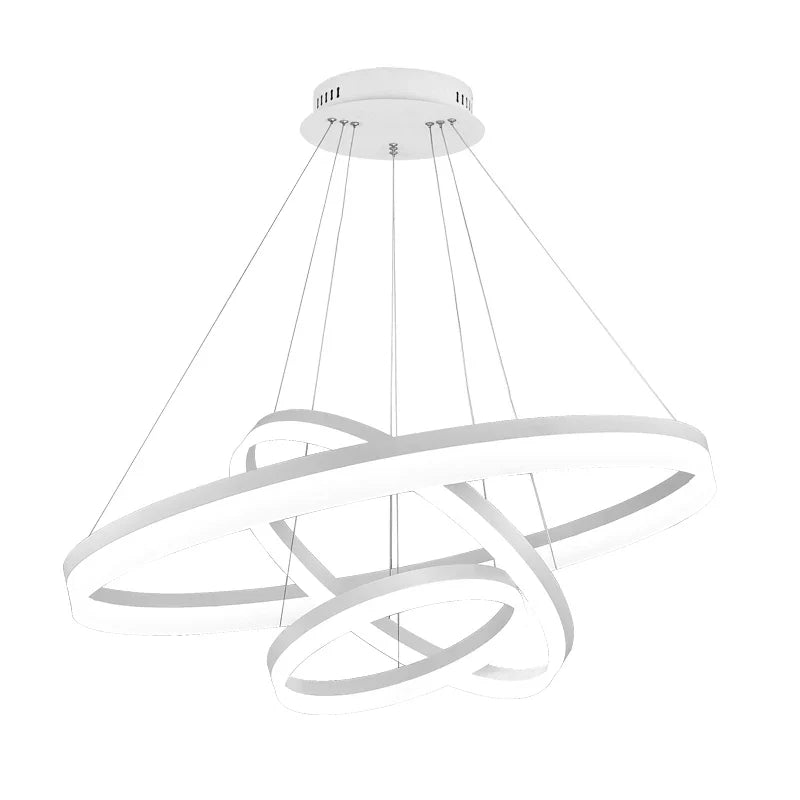 Afralia™ Modern Circle LED Chandelier Ceiling Lamp Black White 20-80cm Fixtures