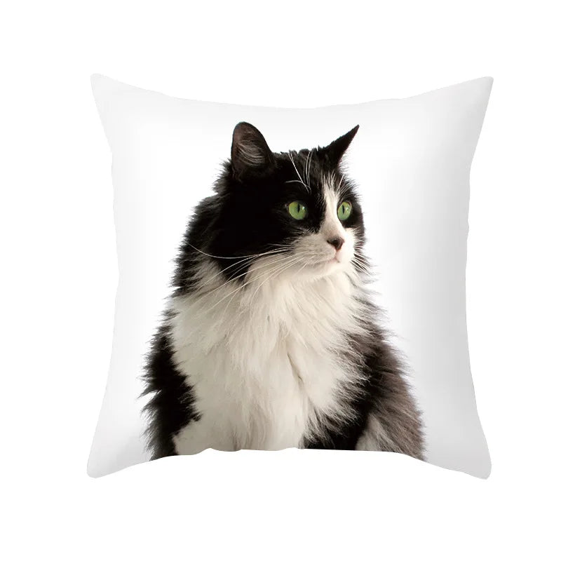 Afralia™ Black Cat Pillowcases - Cute Kitty Animal Lover Cushion Cover