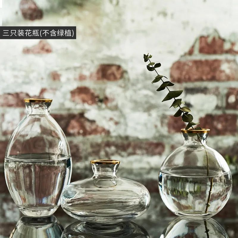 Afralia™ Mini Vase Set: Premium Glass Creative Transparent Decor Bottles for Home and Living Room
