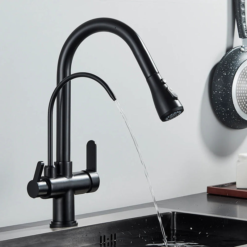 Afralia™ Black Dual Modes Kitchen Faucet 2 in 1 Pure Water Mixer Tap