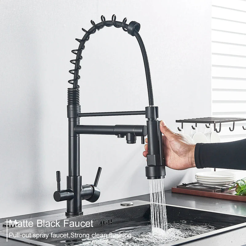 Afralia™ Matte Black Pure Water Filter Kitchen Faucet Dual Handle Mixer Crane