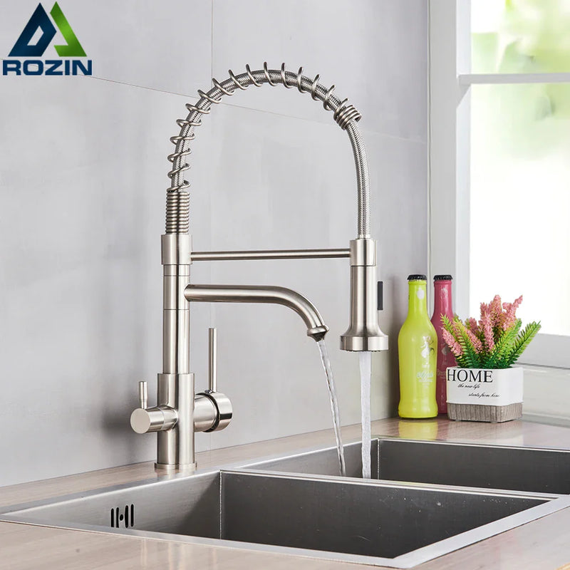 Afralia™ Brushed Nickel Kitchen Faucet Swivel Spout Filtered Water Tap