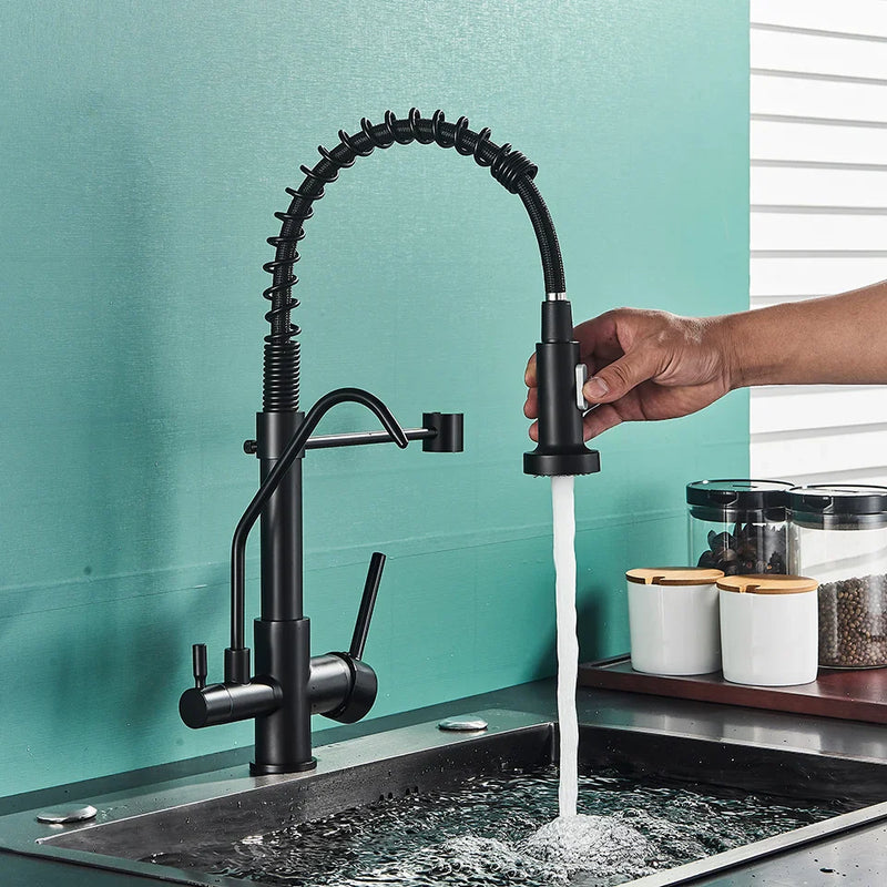 Afralia™ Black Dual Handle Kitchen Faucet with Water Purification Feature, 360° Rotation