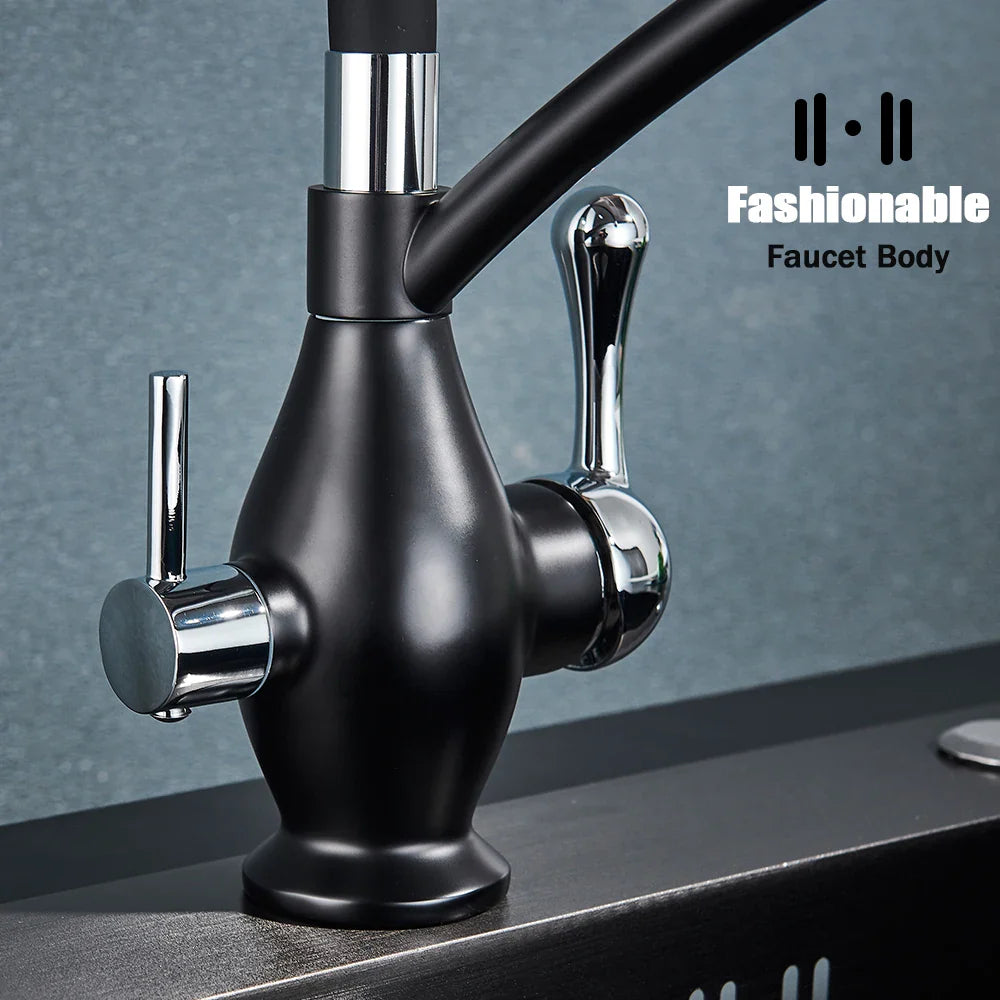 Afralia™ Dual Spout Black Kitchen Faucet with Filter, Swivel Pull Down Nozzle