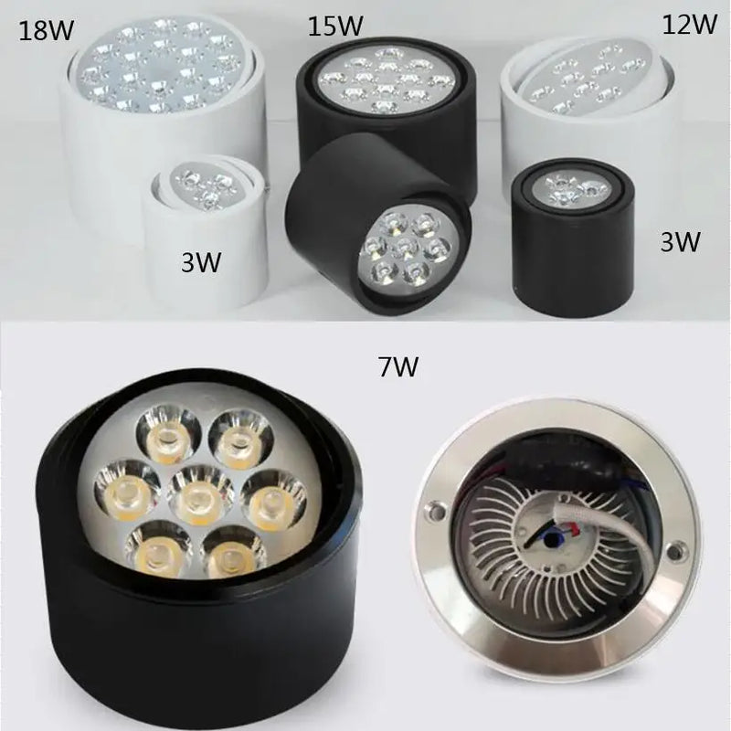 Afralia™ Dimmable LED Ceiling Spot Light Rotation Kitchen Downlights Surface Mounted