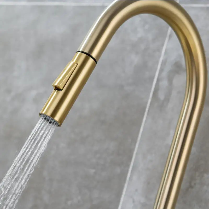 Afralia™ Brushed Gold Pull Out Kitchen Faucet - SUS 304 Stainless Steel