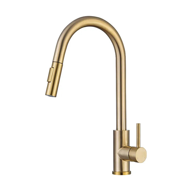 Afralia™ Brushed Gold Pull Out Kitchen Faucet - SUS 304 Stainless Steel