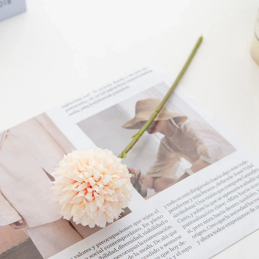 49435172569393|49435172602161