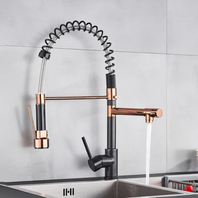 Afralia™ Spring Kitchen Faucet with Pull Down Sprayer and Double Nozzle