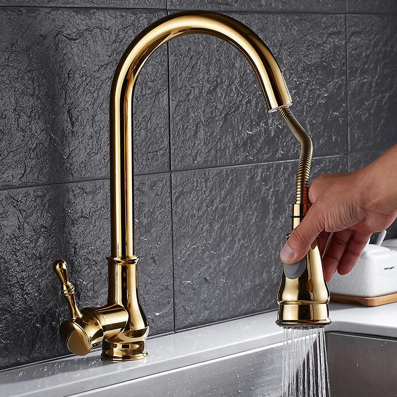 Afralia™ Gold Kitchen Faucet Pull Out Swivel Water Mixer Tap Single Handle Sink