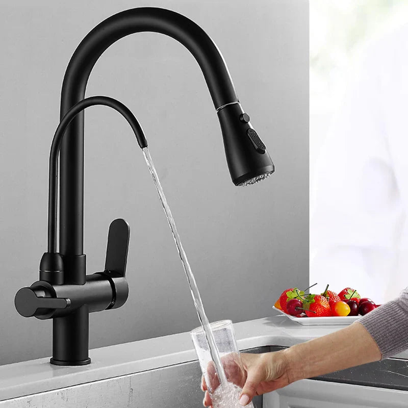 Afralia™ Matte Black Pure Water Dual Handle Kitchen Mixer Taps