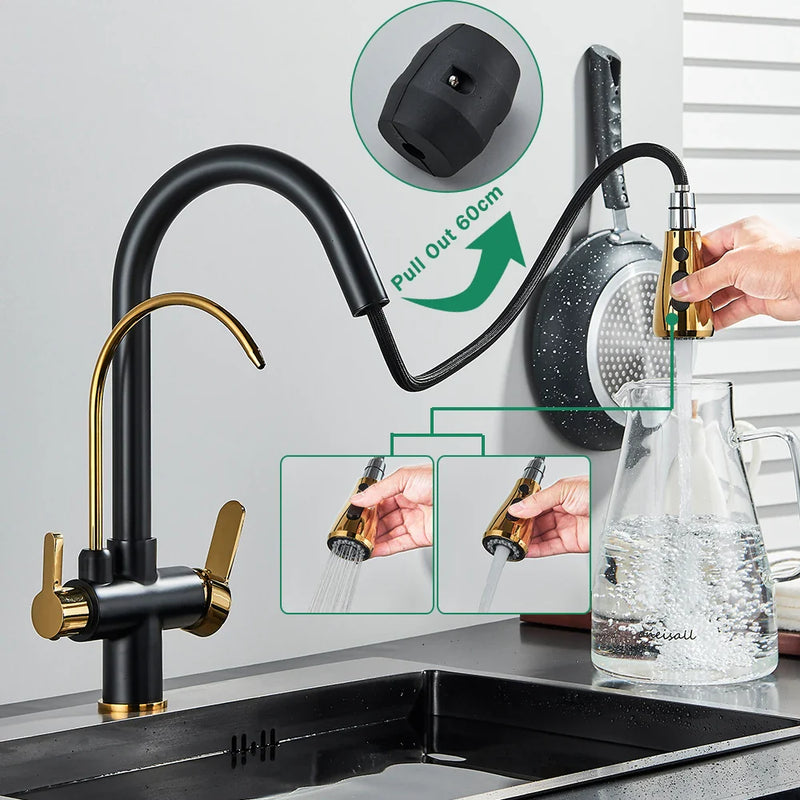 Afralia™ Black Dual Modes Kitchen Faucet 2 in 1 Pure Water Mixer Tap