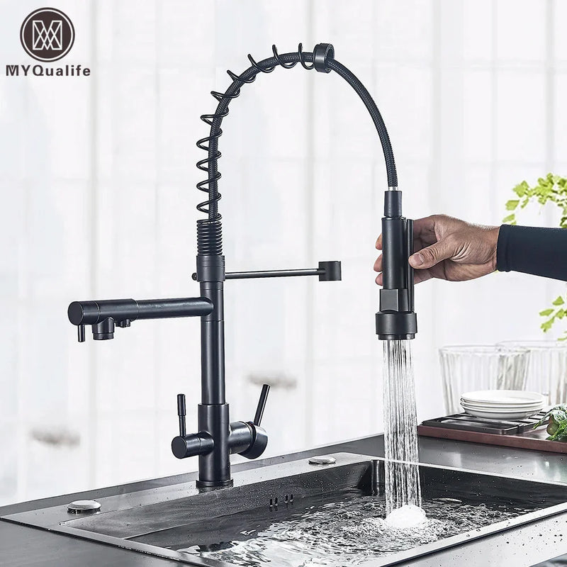 Afralia™ Matte Black Pure Water Filter Kitchen Faucet Dual Handle Mixer Crane