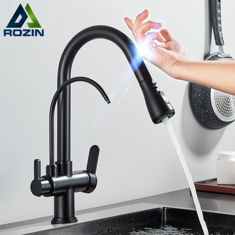 Afralia™ Black Dual Modes Kitchen Faucet 2 in 1 Pure Water Mixer Tap