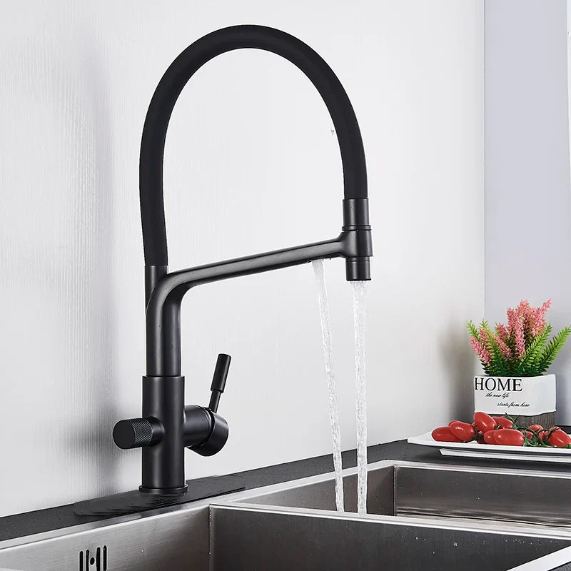 Afralia™ Matte Black Dual Handle Kitchen Faucet with Pure Water Filter for Hot/Cold Water