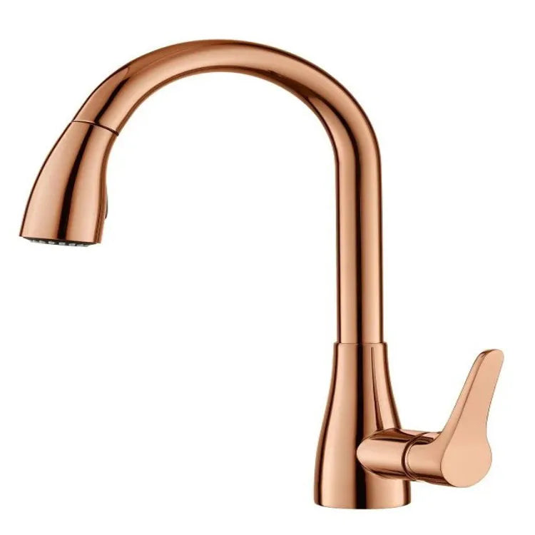 Afralia™ Rose Gold Kitchen Faucet with Pull Out Sprayer