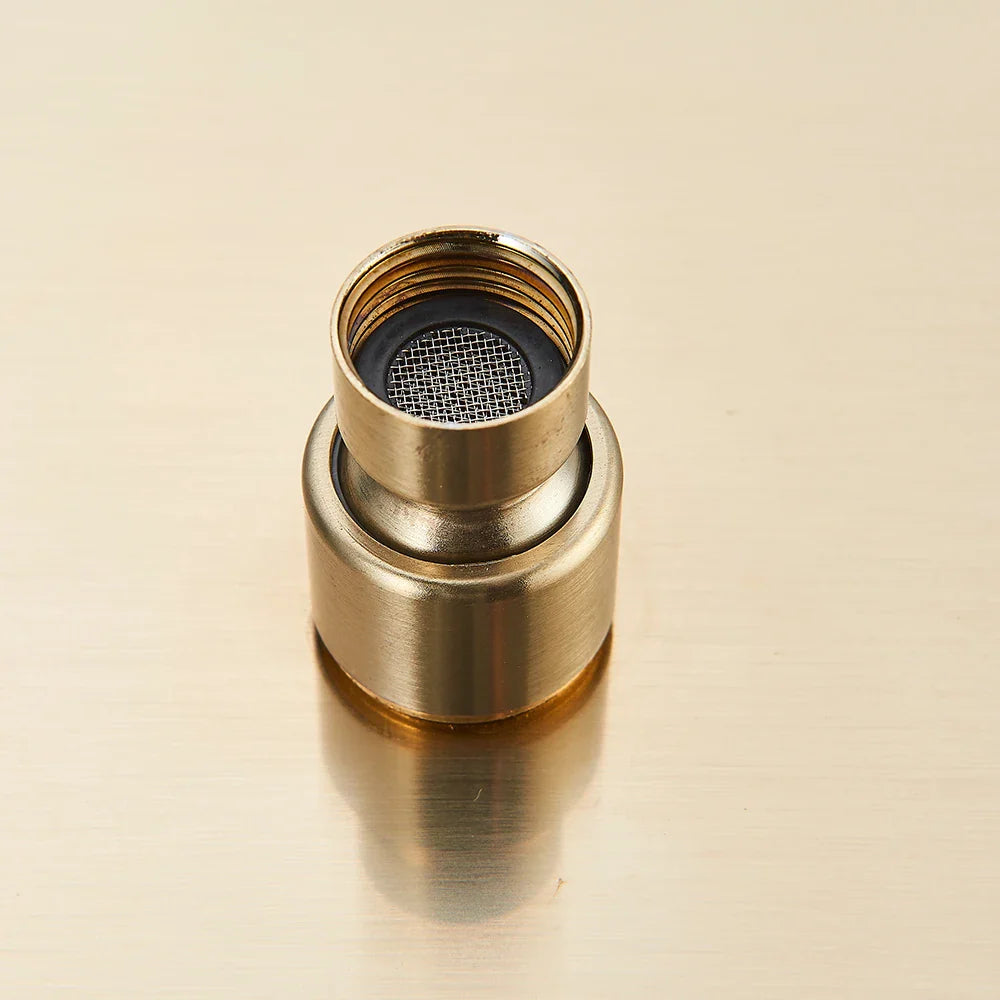 Afralia™ Stainless Steel Rainfall Shower Head in Black/Brushed Gold for Bathroom Shower