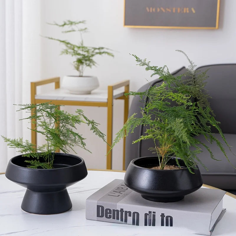 Afralia™ White Ceramic Round Flower Vase Pot for Home Decoration