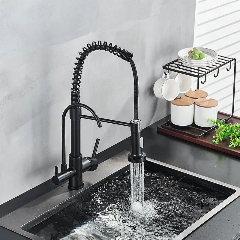 Afralia™ Swivel Filter Kitchen Faucet with Pull Down Nozzle and Hot/Cold Water Mixer