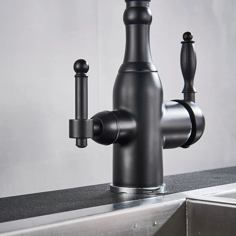 Afralia™ Matte Black Dual Handle Kitchen Faucet with Pure Water Filter Spout