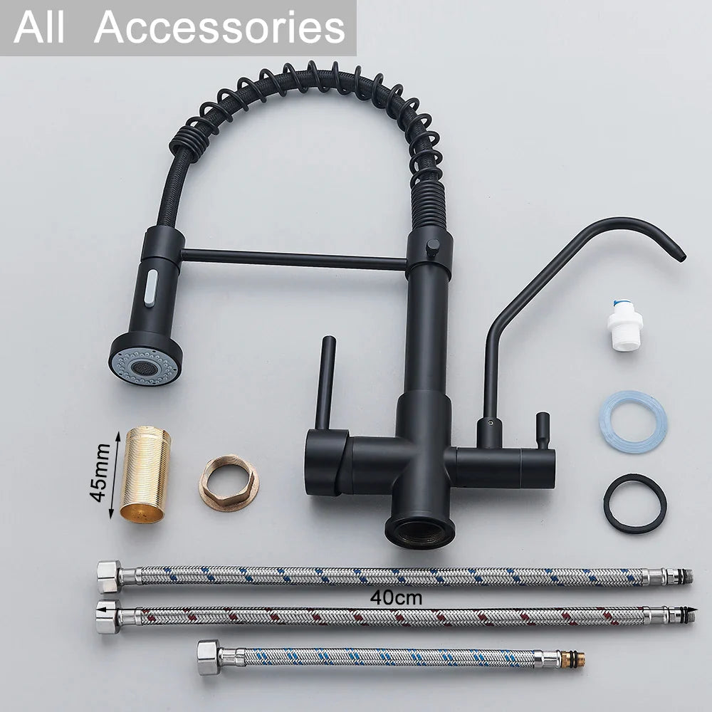 Afralia™ Matte Black Dual Handle Pure Water Filter Kitchen Faucet - Pull Out Design