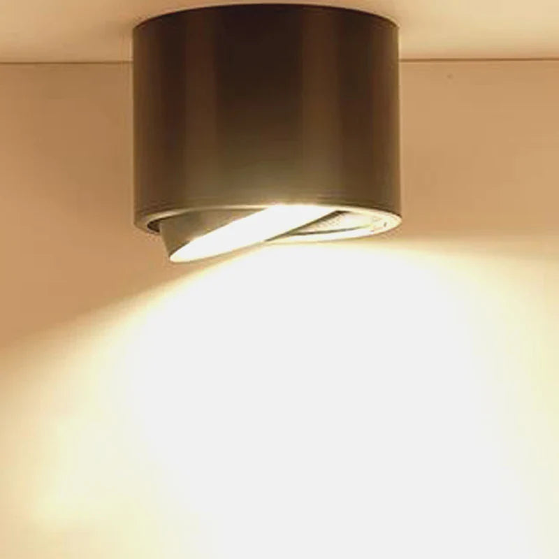 Afralia™ Dimmable LED Ceiling Spot Light Rotation Kitchen Downlights Surface Mounted