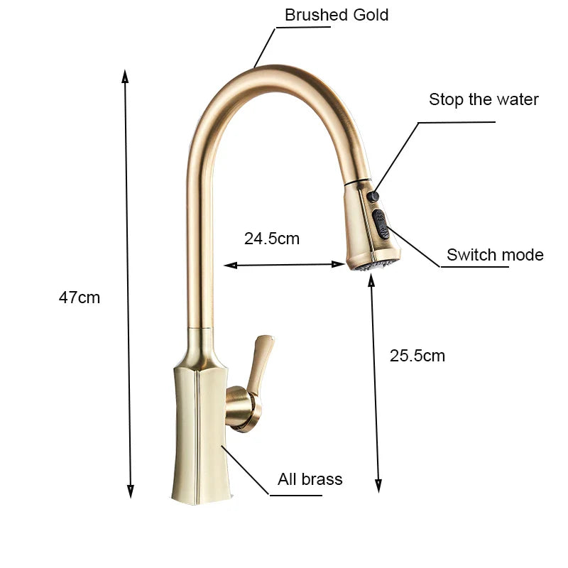 Afralia™ Brushed Gold Pull Out Kitchen Faucet with 2 Function Head and Spring Design