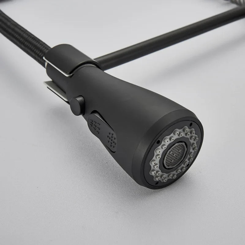 Afralia™ Matte Black Spring Kitchen Faucet with Dual Function Spray Head