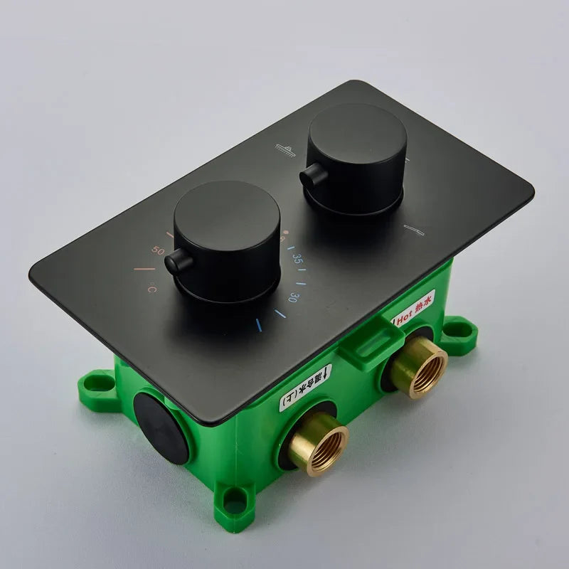 Afralia™ Matte Black Thermostatic Shower Valve Dual Handle Wall Mount Embedded Box